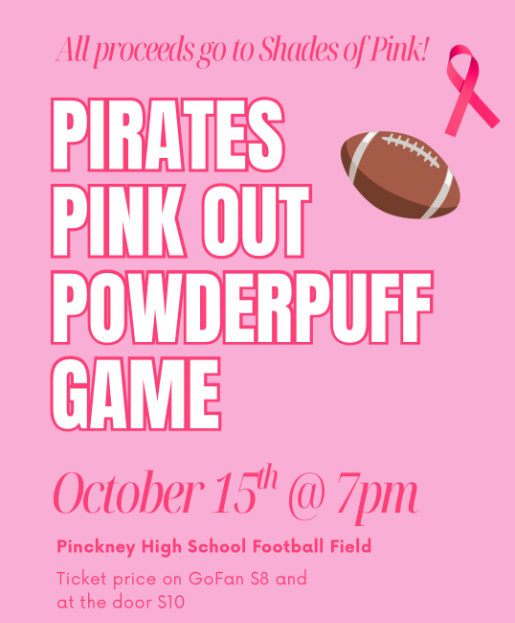 Shades of Pink Foundation